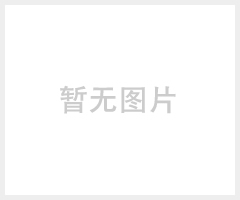 定制桂圆干包装袋 龙眼桂圆袋子 特产干果自封袋 休闲食品 500克